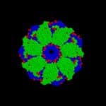 Биосенсоры выявили тепловой шок при использовании важных препаратов