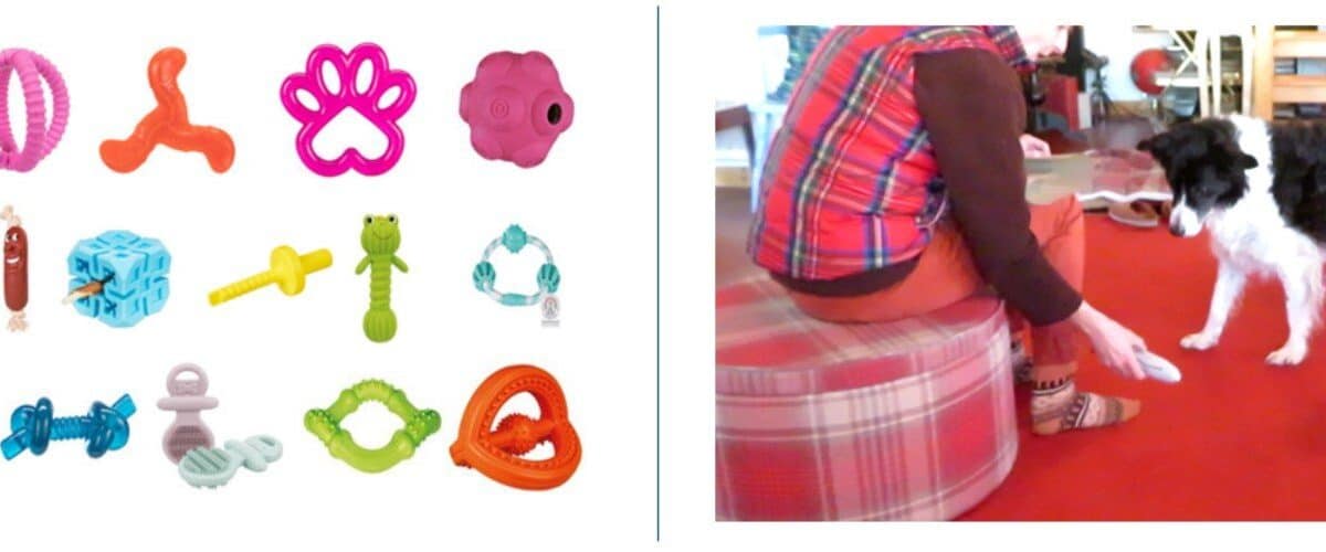 Собаки, лучше запоминающие слова, оказались инициативнее в играх с хозяевами