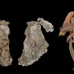 В орегонской пещере нашли древнейший образец шитья