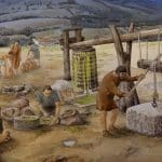 В Италии нашли следы производства оливкового масла во времена среднего неолита