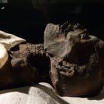 Летучие соединения раскрыли состав бальзамирующих материалов в египетских мумиях