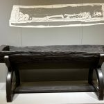 Дендрохронология позволила установить точный возраст деревянного гроба «принцессы из Багича»