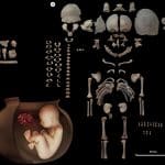 В Иране обнаружили захоронения неродившихся детей в сосудах
