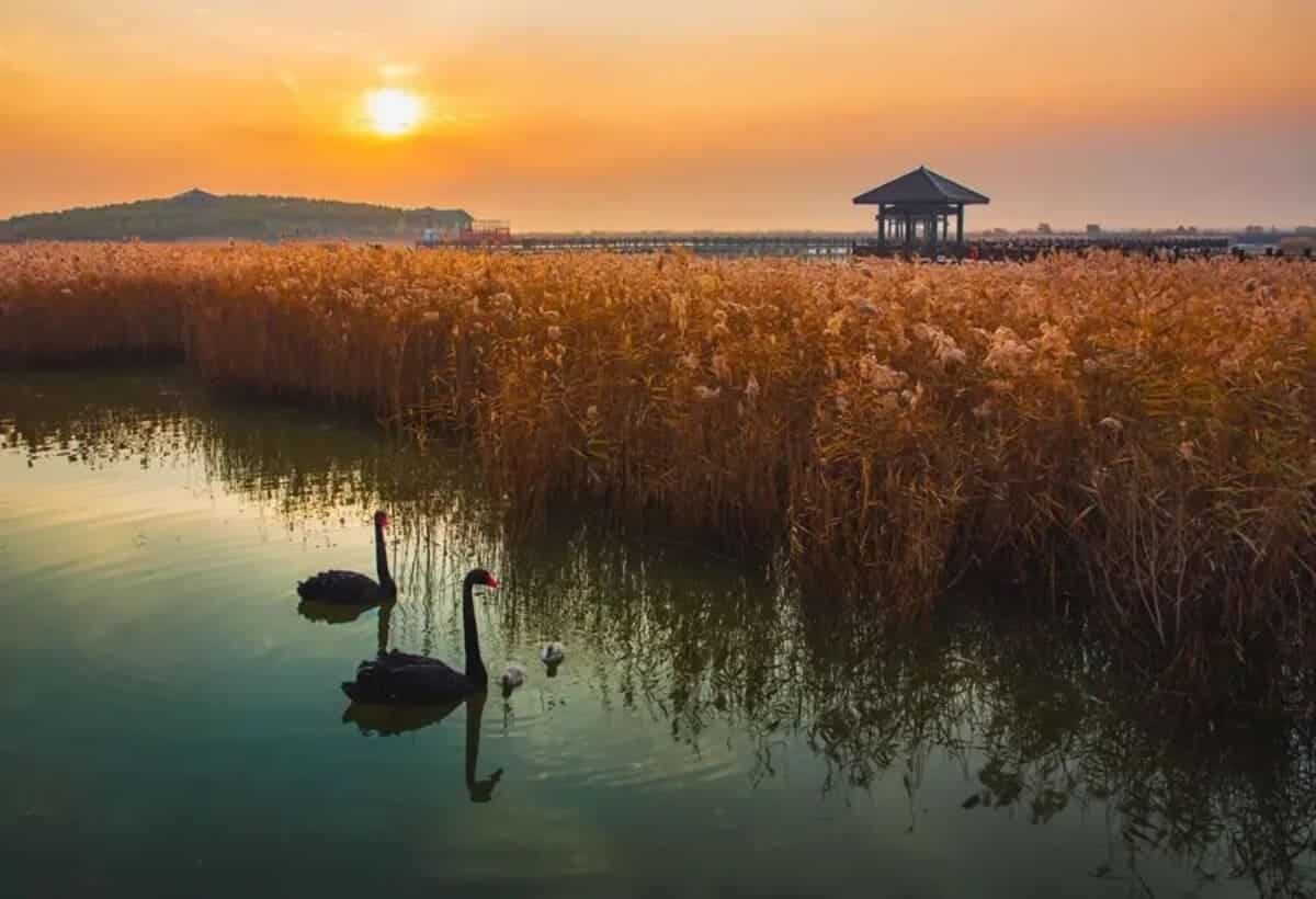 Гран-при конкурса: «Милый дом» / © Chen Xiufeng