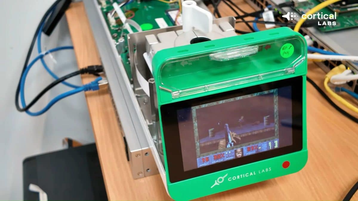 Чип с живыми нейронами научился играть в Doom за неделю / © Cortical Labs