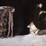 Древняя ДНК подтвердила широкое распространение собак в Европе уже 14 000 лет назад