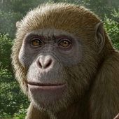 Masripithecus moghraensis