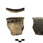 Охотники-собиратели готовили рыбную похлебку с ягодой