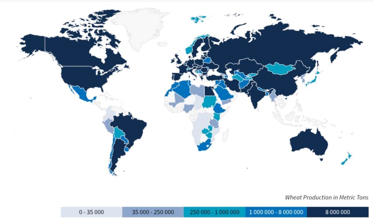 Производство пшеницы в мире / © USDA