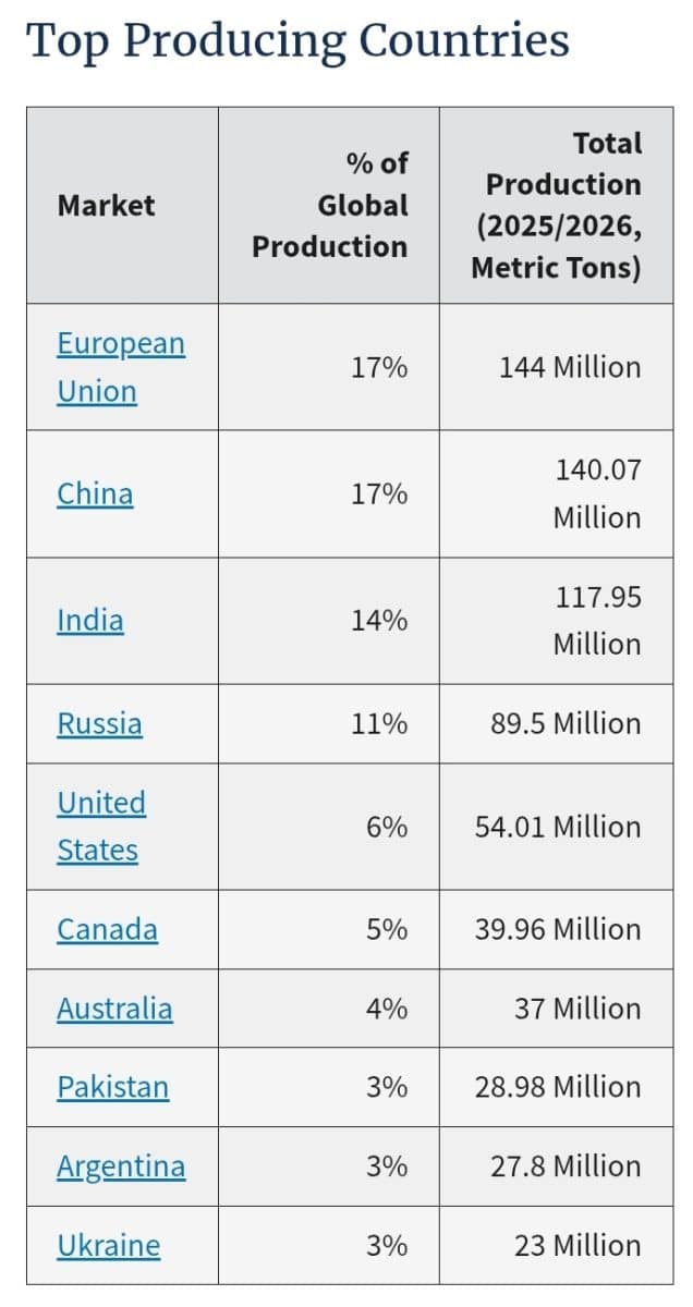Крупнейшие в мире производители пшеницы / © USDA
