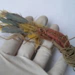 Перья амазонских попугаев раскрыли обширные торговые связи доинкской цивилизации Перу