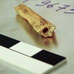 Анализ генома из Денисовой пещеры указал на быстрое разделение неандертальских популяций