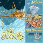 Снежные мухи выработали собственные белки-антифризы и научились согревать тело для жизни на морозе