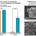 Бактерии из кимчи смогли защитить кишечник от нанопластика