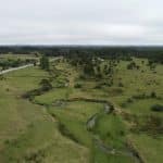 Древнее поселение в Чили оказалось на тысячи лет моложе, переписав историю заселения Америки