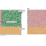 Физики показали, когда на самом деле наступает равновесие в несмешивающихся жидкостях