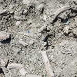 Ученые нашли свидетельства древнейшей разделки слонов человеком