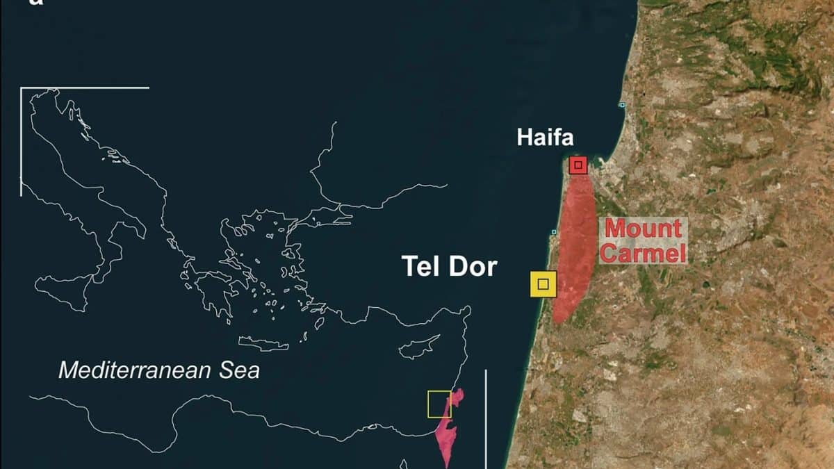 أحدثت حمولة السفينة الغارقة ثورة في الأفكار حول التعامل مع الحديد في البحر الأبيض المتوسط ​​القديم.