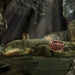 У мумифицированной рептилии пермского периода сохранились кожа и хрящи