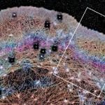 Клетки создали «цитоплазматические пассаты», чтобы перемещать вещества внутри себя