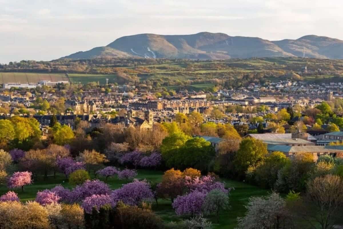 Победитель в категории «Городская природа»: «Эдинбург в цвету» / © Jamie McDermaid
