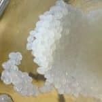 В России выделили фермент для сельского хозяйства, устойчивый к нагреву и перепадам кислотности