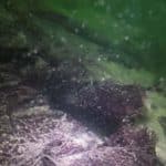 Обломки, найденные на дне Кадисского залива, оказались потопленным Фрэнсисом Дрейком торговым судном