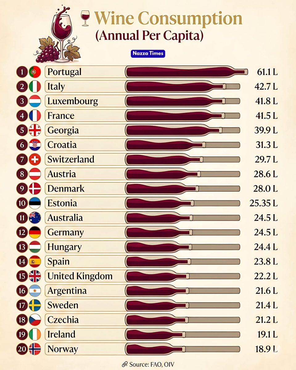 Инфографика: жители каких стран пьют больше всего вина / © Nazza Times