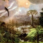 Гигантское насекомое Meganeura sp.