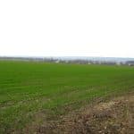 В России выяснили, как удобрения могут помочь в борьбе с изменением климата