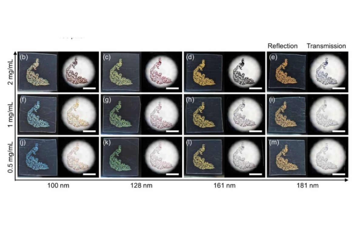 Образцы структурных чернил. Цветное изображение отражает свет, черно-белое — те же чернила, при прохождении света сквозь них. По оси X — диаметр частиц, по оси Y — концентрация сфер в чернилах / © H. Yamana et al., Advanced Materials 2026. DOI: 10.1002/adma.202523036