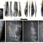 Анализ сколов показал истинное назначение резцов из Костенок