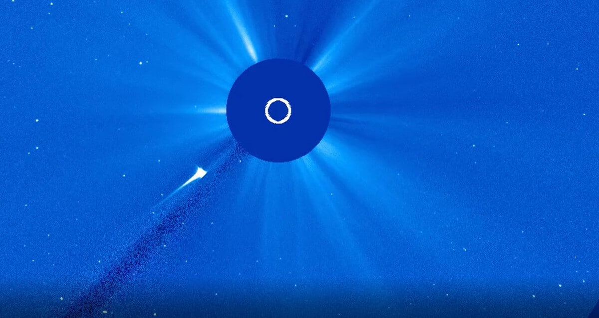 Комета C/2026 A1 приближается к Солнцу / © Telegram-канал Лаборатории солнечной астрономии ИКИ РАН