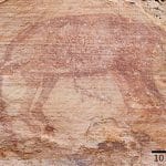 Наскальные рисунки аборигенов заставили пересмотреть сроки вымирания тилацинов в Австралии