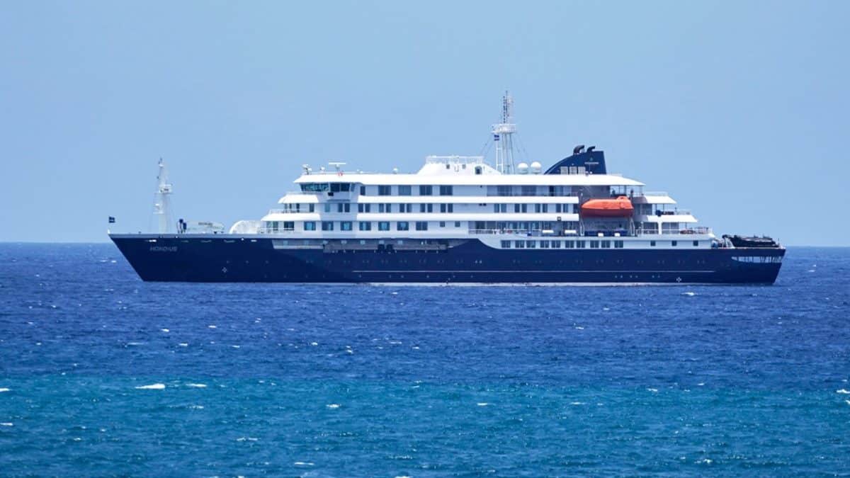 На лайнере MV Hondius зафиксирована вспышка смертельного хантавируса — image 2
