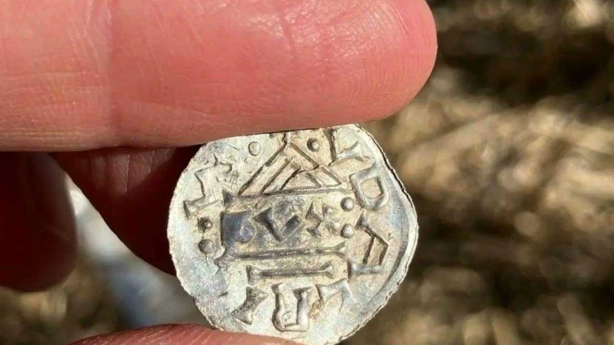 في النرويج، تم “زرع” حقل بعملات فضية من عصر الفايكنج