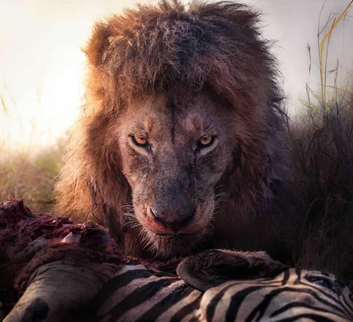 Снимок финалиста конкурса / © Panagiotis Laskarakis