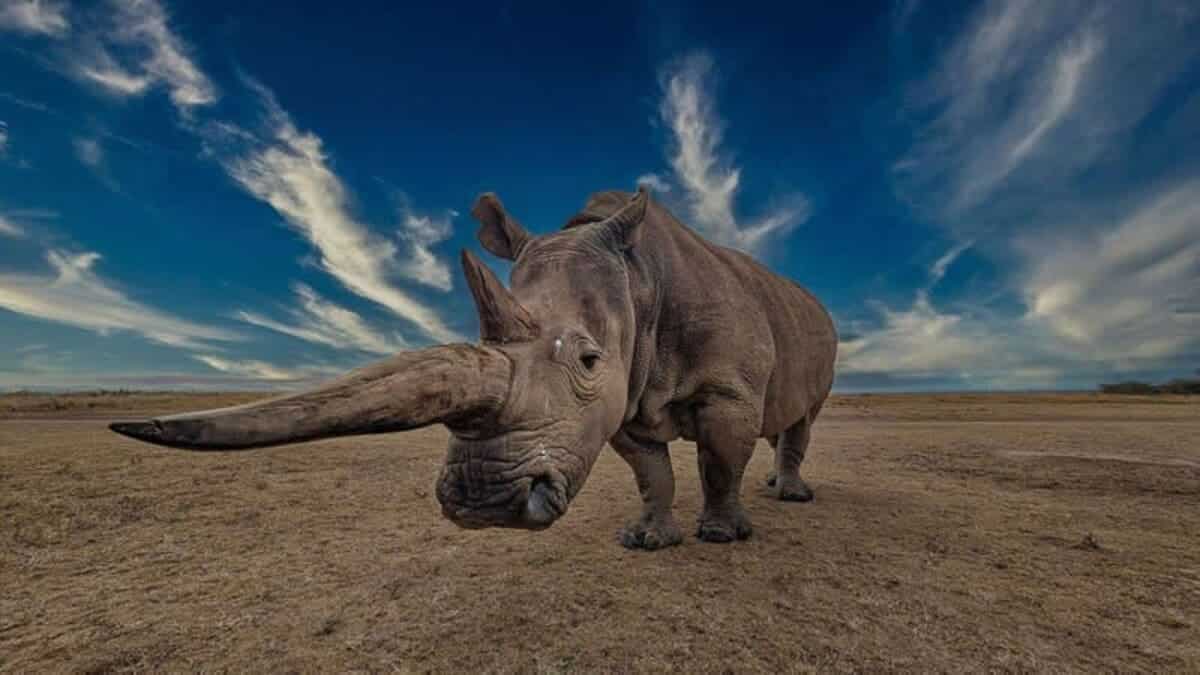 Снимок финалиста конкурса / © Kaushik Chatterjee