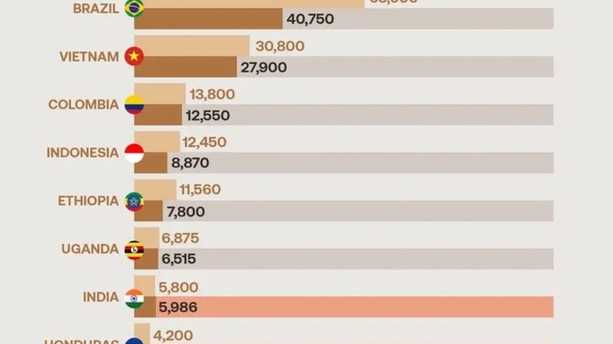 Кто и сколько кофе производит в мире: рейтинг лидеров 2026 года