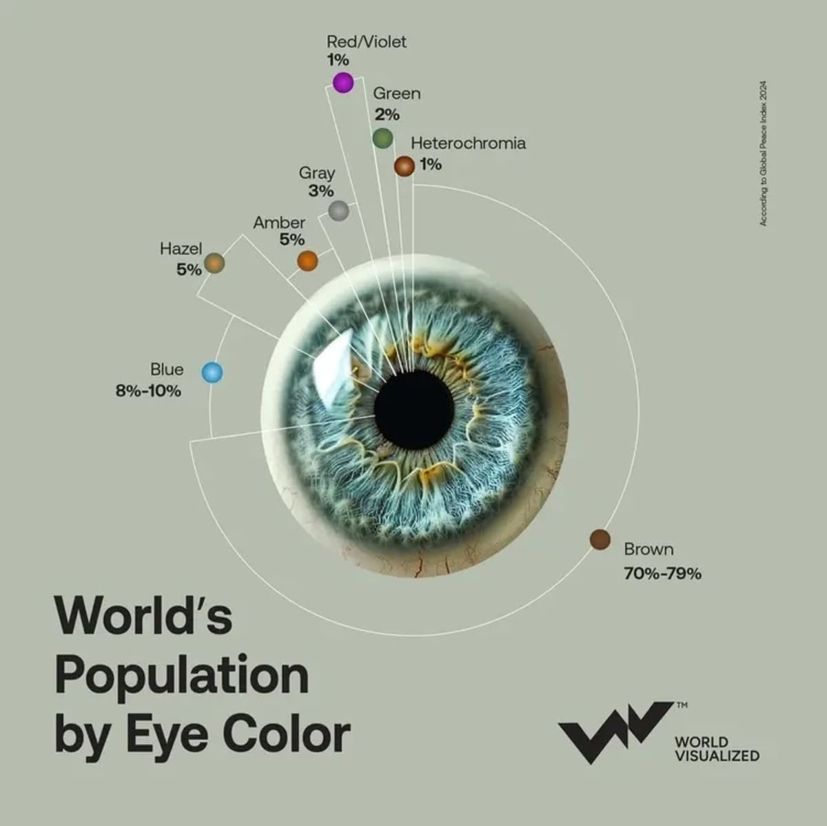 Цвета глаз в мире: глобальная статистика в наглядной инфографике / © World Visualized