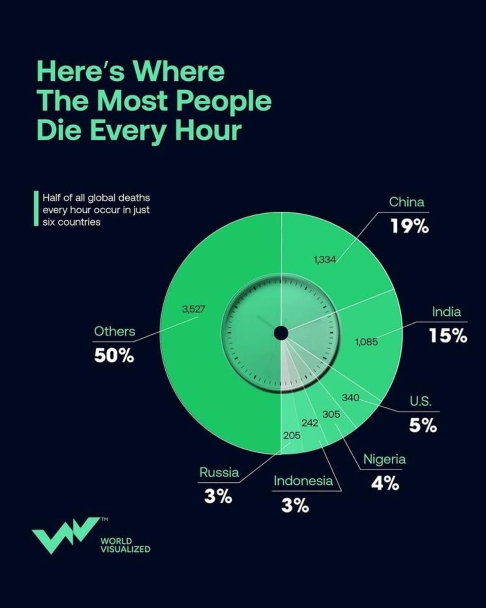 Инфографика: страны с самой высокой почасовой смертностью в мире / © World Visualized