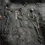 Ученые раскрыли роль бактерий в сохранности скелетов
