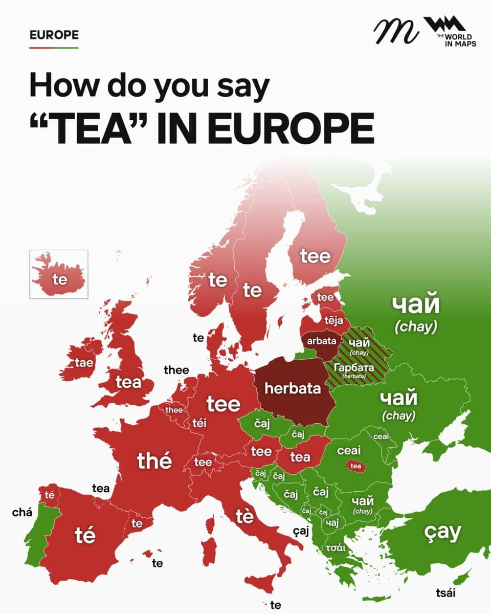 Как называют чай в европейских странах / © maven.mapping, World in maps