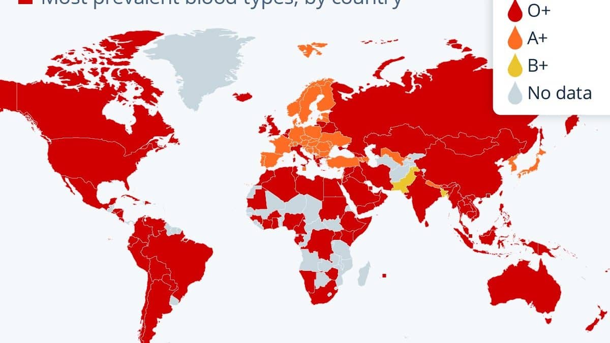 Группы крови мира: где какая доминирует и почему это важно