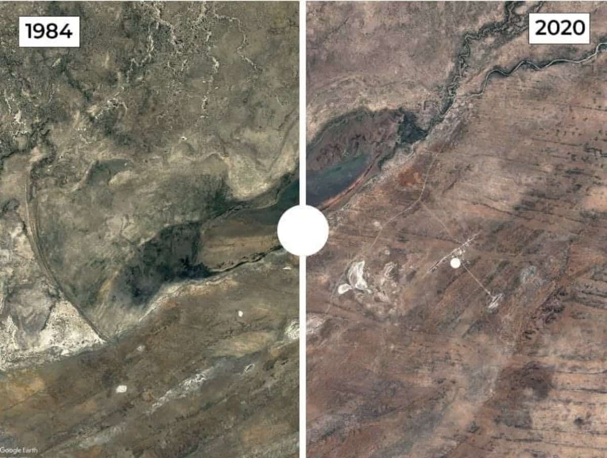Озеро Нгами, Ботсвана / © Google Earth