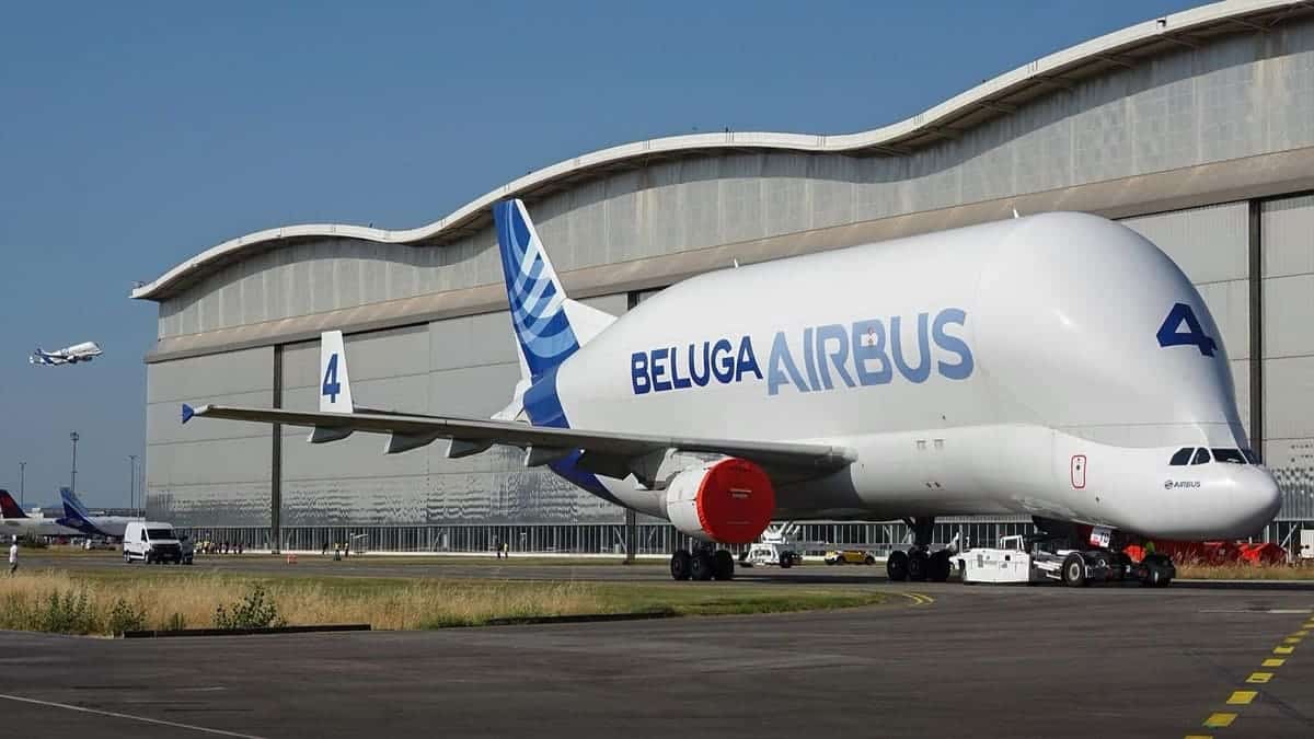 Airbus A300-600ST Beluga №4 / © Nuno Seletti