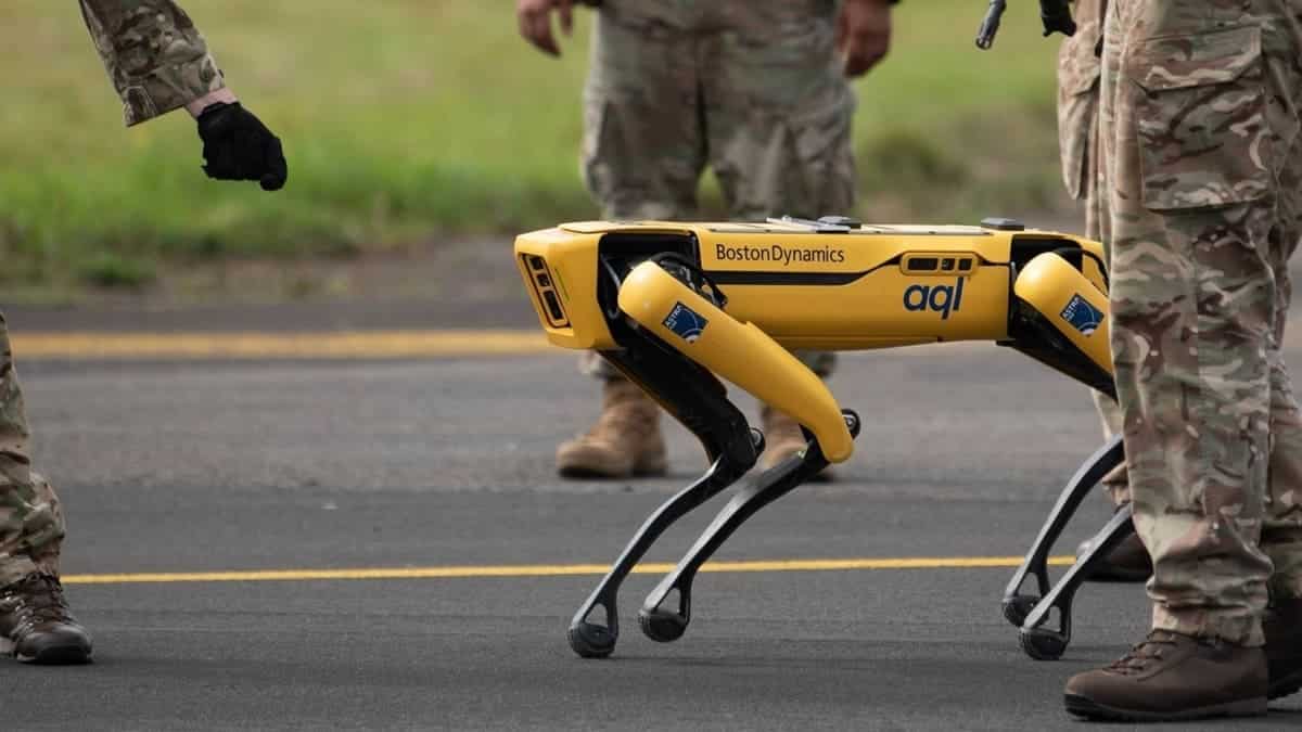 Spot / © Boston Dynamics