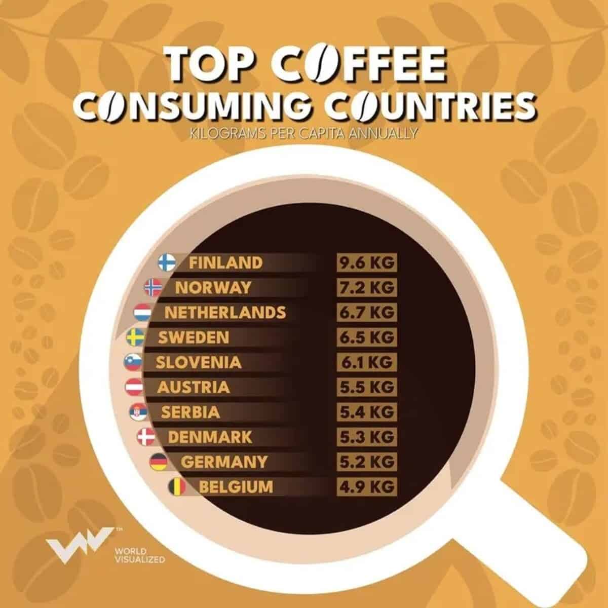 Кто пьет больше всех? Рейтинг стран по потреблению кофе / © World Visualized