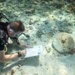 На Багамах впервые обнаружили обломки кораблей эпохи «золотого века» пиратства