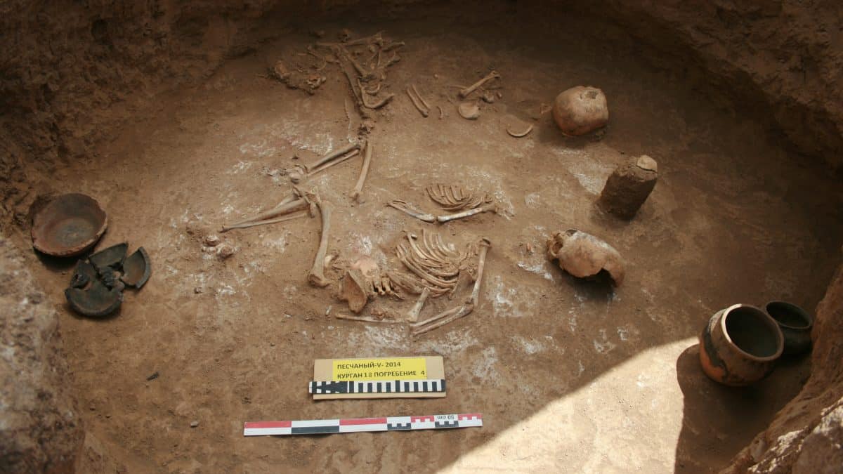 История Придонья: ученые уточнили хронологию десяти древних культур с помощью радиоуглеродного анализа